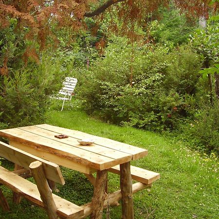 Hosteria Brisas Del Cerro Villa La Angostura Esterno foto